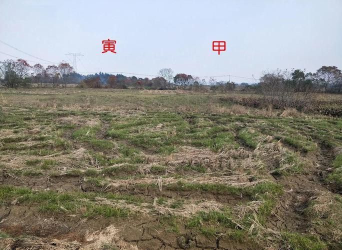 再給我幾個風水龍脈圖解實例