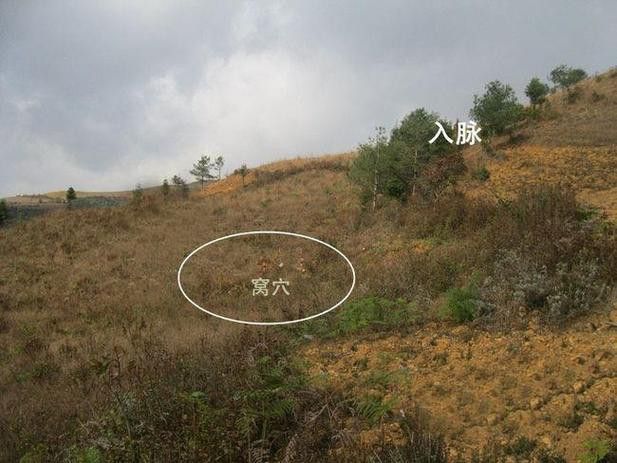 再給我幾個風水龍脈圖解實例