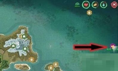 金龍魚吃幼崽嗎：金龍魚會吃幼崽嗎？