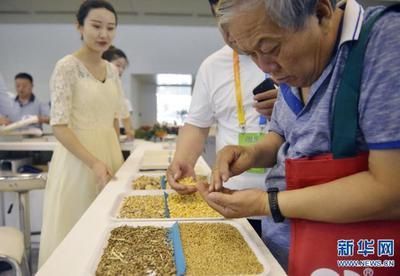 中儲糧與金龍魚