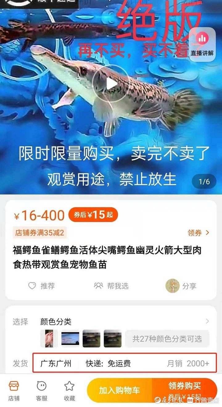 虎紋恐龍魚可以吃嗎有毒嗎圖片