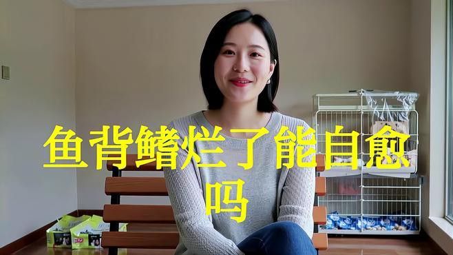 龍魚爛鰭可以自愈嗎？