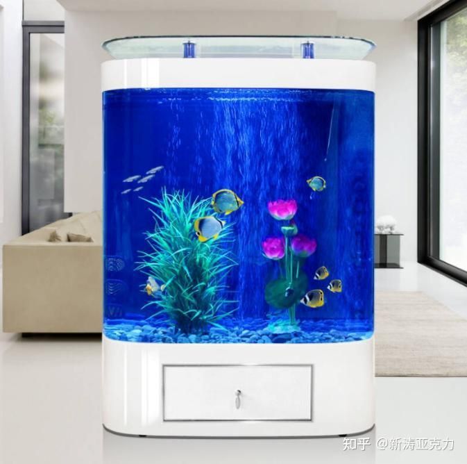 龍魚閣魚缸優缺點