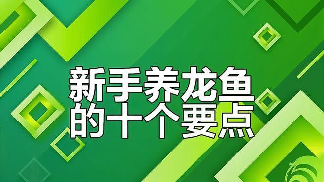 如何加速龍魚適應新環境？
