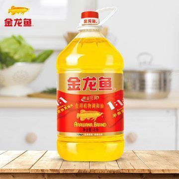 金色龍魚什么寓意好，金色龍魚風(fēng)水?dāng)[放