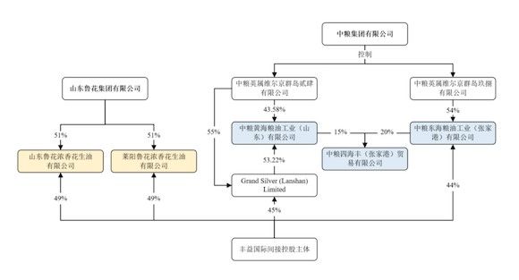 金龍魚 解禁