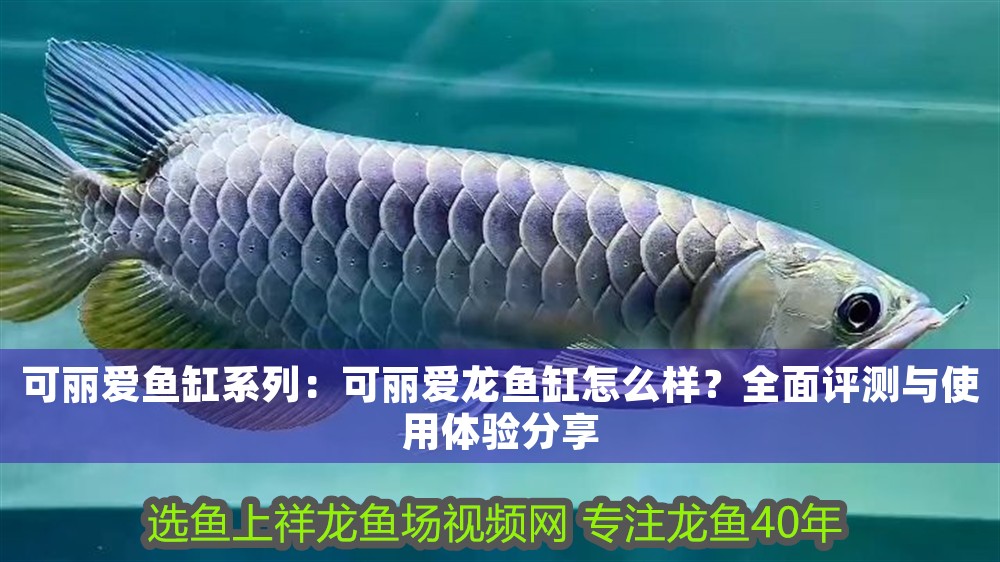 可麗愛(ài)魚(yú)缸系列：可麗愛(ài)龍魚(yú)缸怎么樣？全面評(píng)測(cè)與使用體驗(yàn)分享