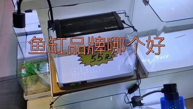 龍魚魚缸10大品牌