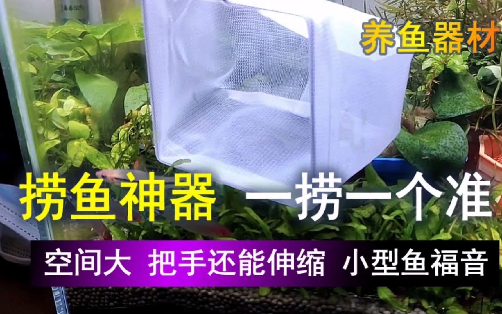 撈魚的網子帶桿的