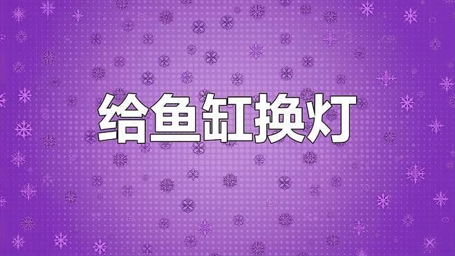 馬印龍魚燈哪個系列最好