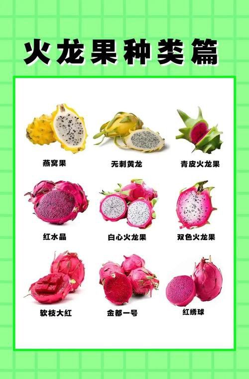 紅龍果哪個品種最有營養？