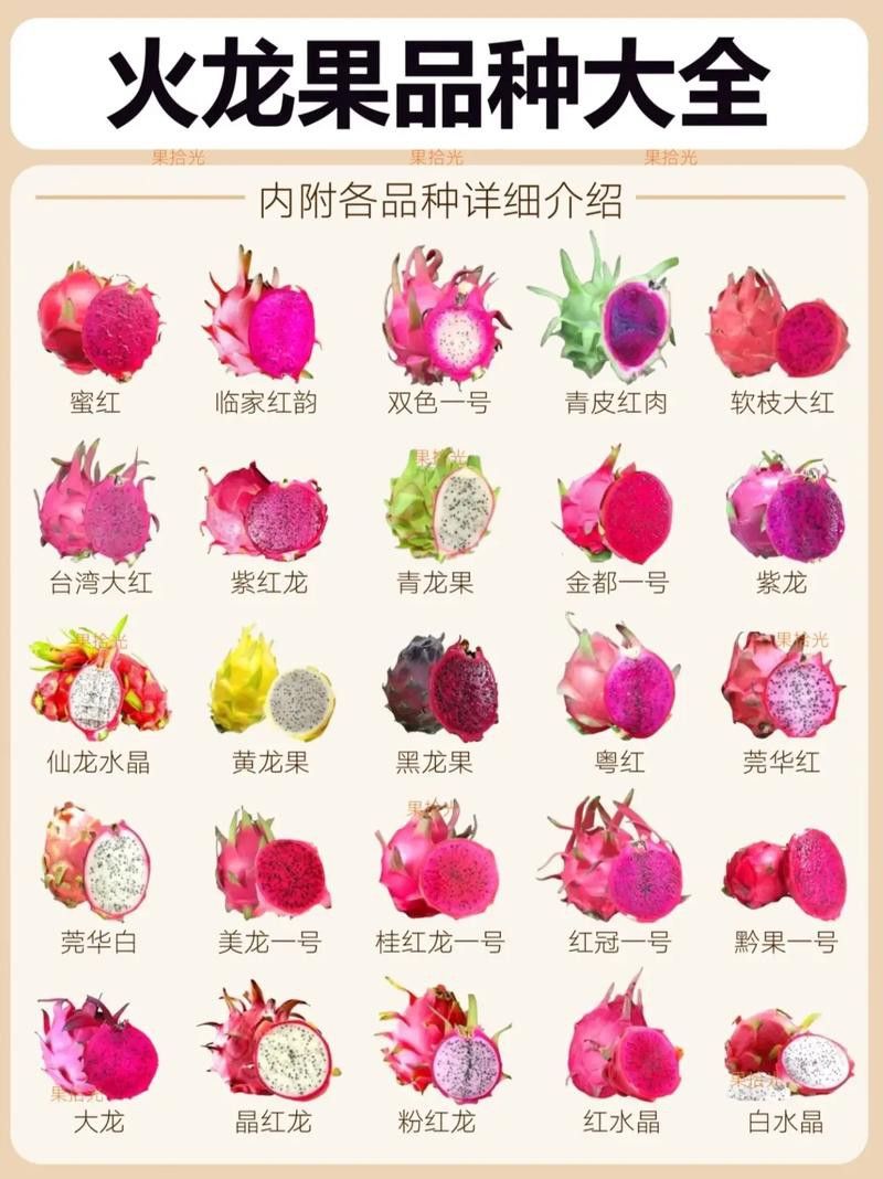 紅龍果哪個品種最有營養？