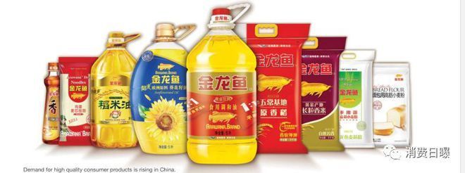 金龍魚怎么樣才爬背上色快一點（如何提高金龍魚爬背上色的速度）