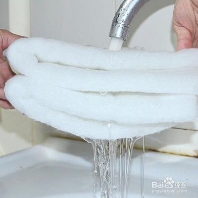 龍魚缸過濾棉多久換一次好：龍魚缸過濾棉更換頻率