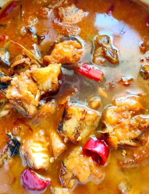 溫州龍魚好吃嗎怎么樣養