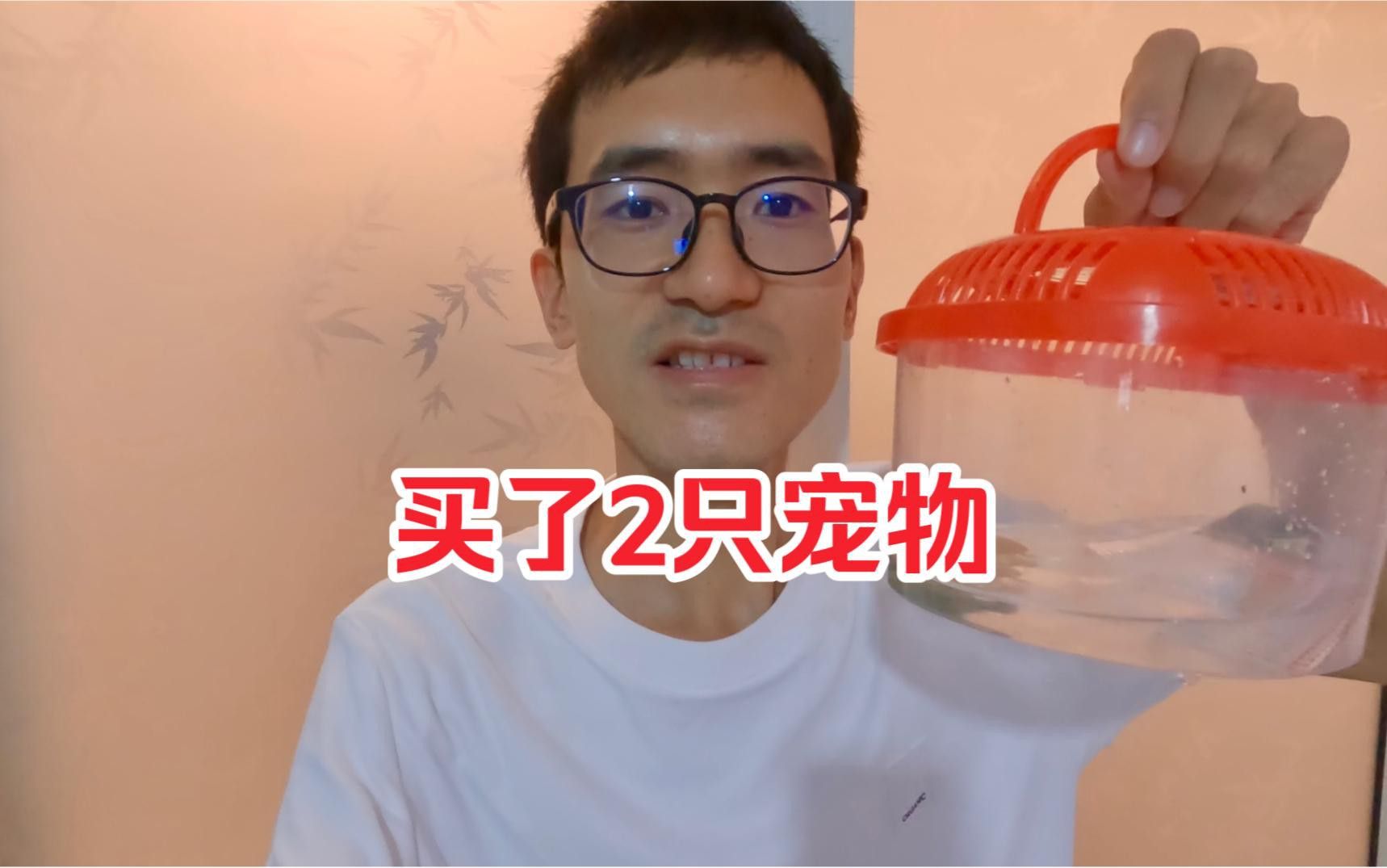 如何設置龍魚和烏龜的隔離設施？