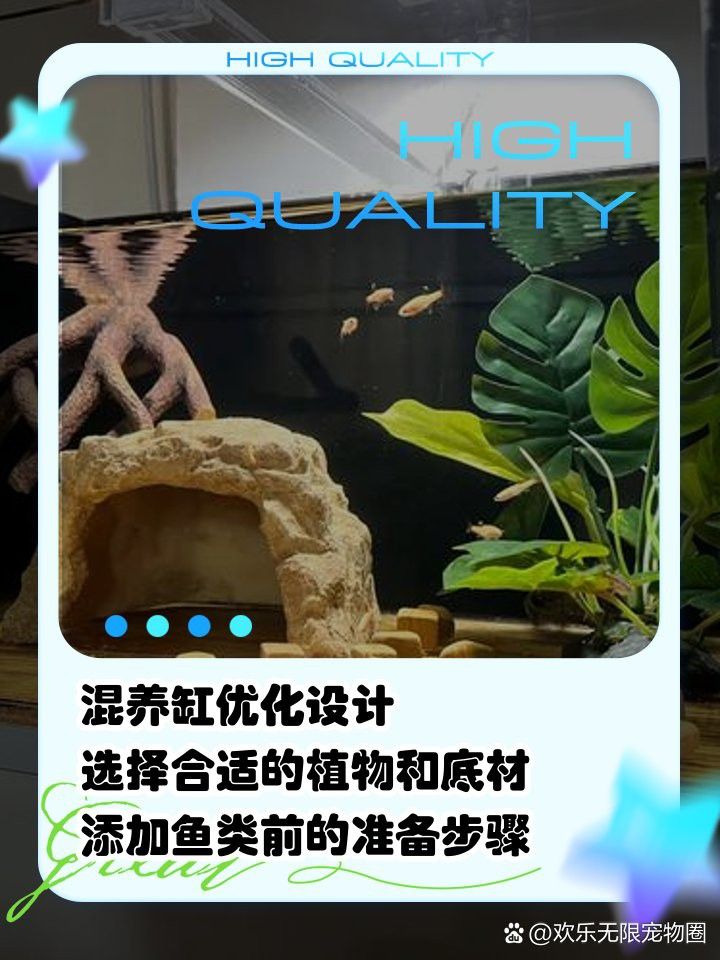 如何設置龍魚和烏龜的隔離設施？