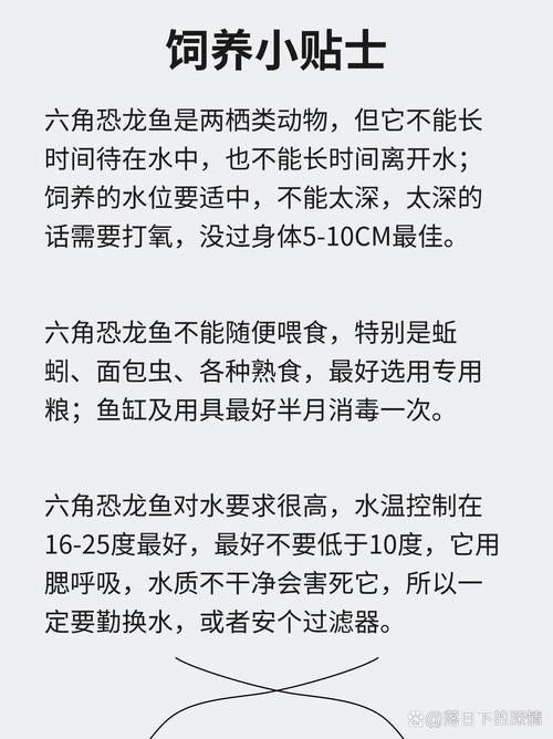 六角恐龍魚價格表圖片