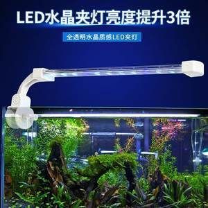 龍魚專用缸，關于龍魚專用缸的選擇指南 龍魚專用缸，關于龍魚專用缸的選擇指南 龍魚百科 第5張