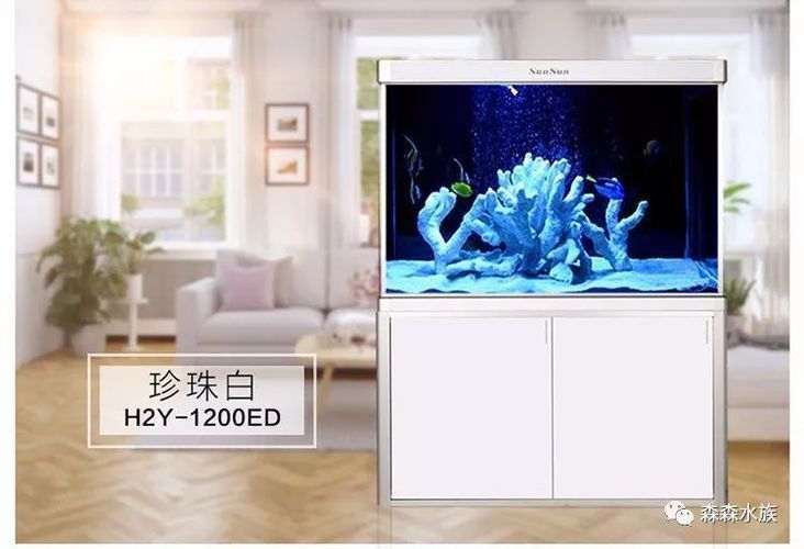 龍魚缸品牌 MH：mh龍魚養(yǎng)殖品牌