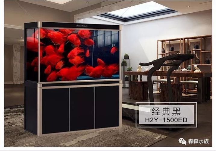 龍魚缸品牌 MH：mh龍魚養(yǎng)殖品牌