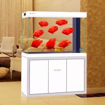 龍魚缸那個牌子最好：龍魚缸品牌哪個牌子好