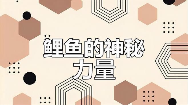 鯉魚對應青龍