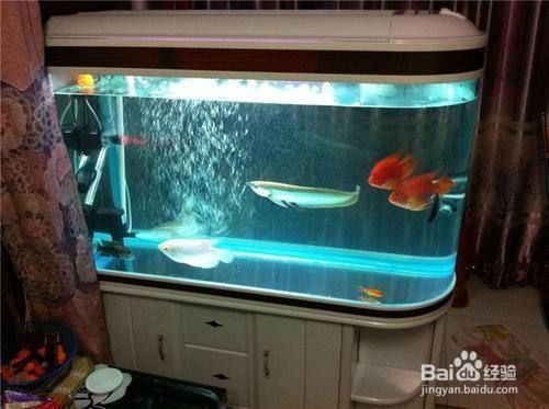 金九龍魚缸安裝圖：金九龍魚缸基本安裝流程：金九龍魚缸安裝流程