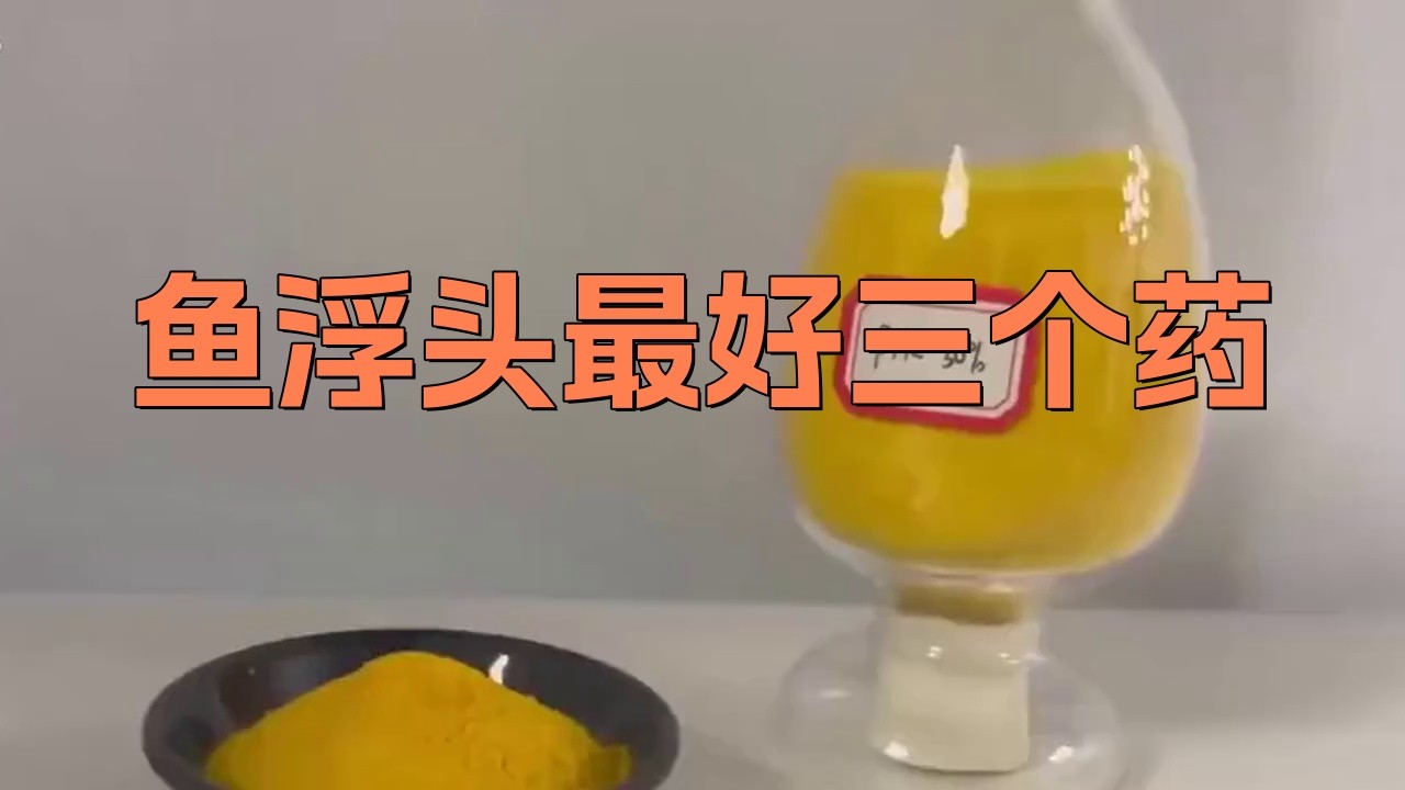 龍魚浮頭時應該如何緊急處理？