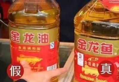 金龍魚老張嘴是什么問題：金龍魚老張嘴是什么原因