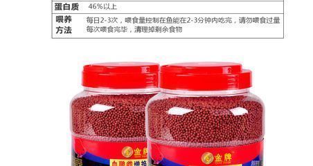 龍魚一次喂多少飼料：龍魚喂食時間安排,龍魚健康狀態自檢方法