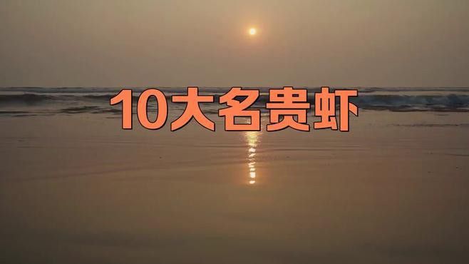 提供這十大龍蝦的詳細介紹