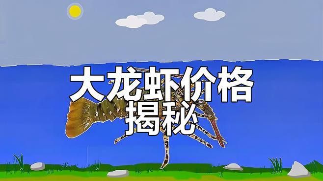 提供這十大龍蝦的詳細介紹