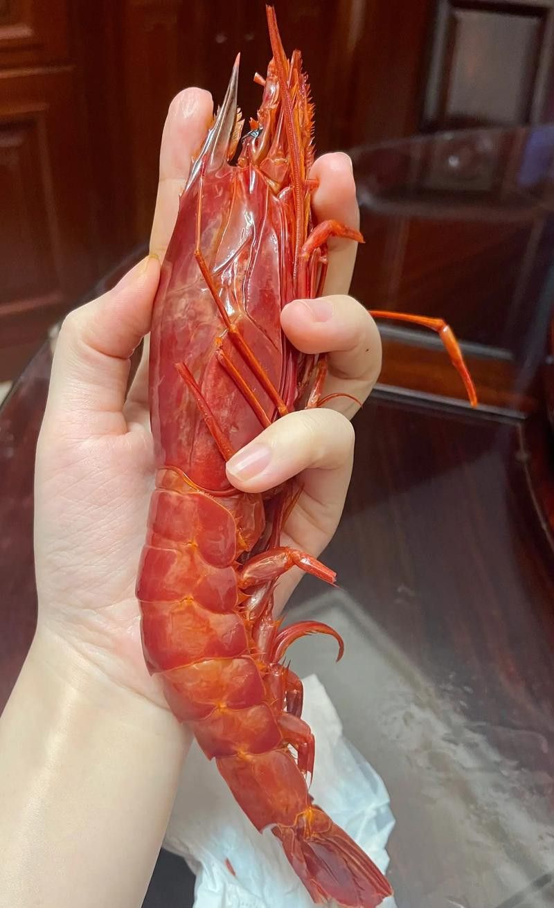 提供這十大龍蝦的詳細介紹