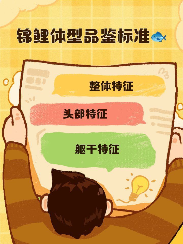 錦鯉有小尺寸的品種嗎