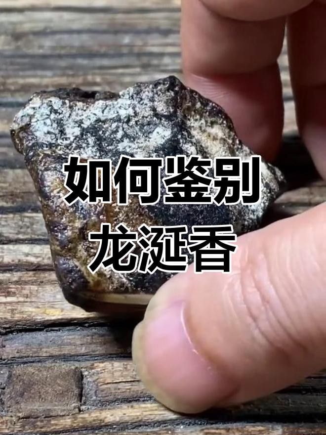 如何判斷紅龍涎的真?zhèn)危? title=