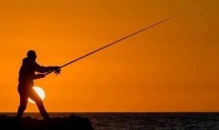 魚缸里的魚怎么發(fā)朋友圈句子，魚缸里的魚發(fā)朋友圈句子