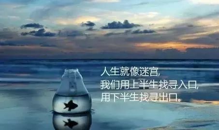 魚缸里的魚怎么發(fā)朋友圈句子，魚缸里的魚發(fā)朋友圈句子