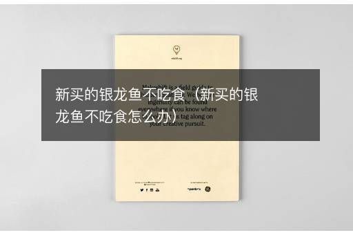 剛買的銀龍魚不吃東西，剛買的銀龍魚不吃東西是怎么回事