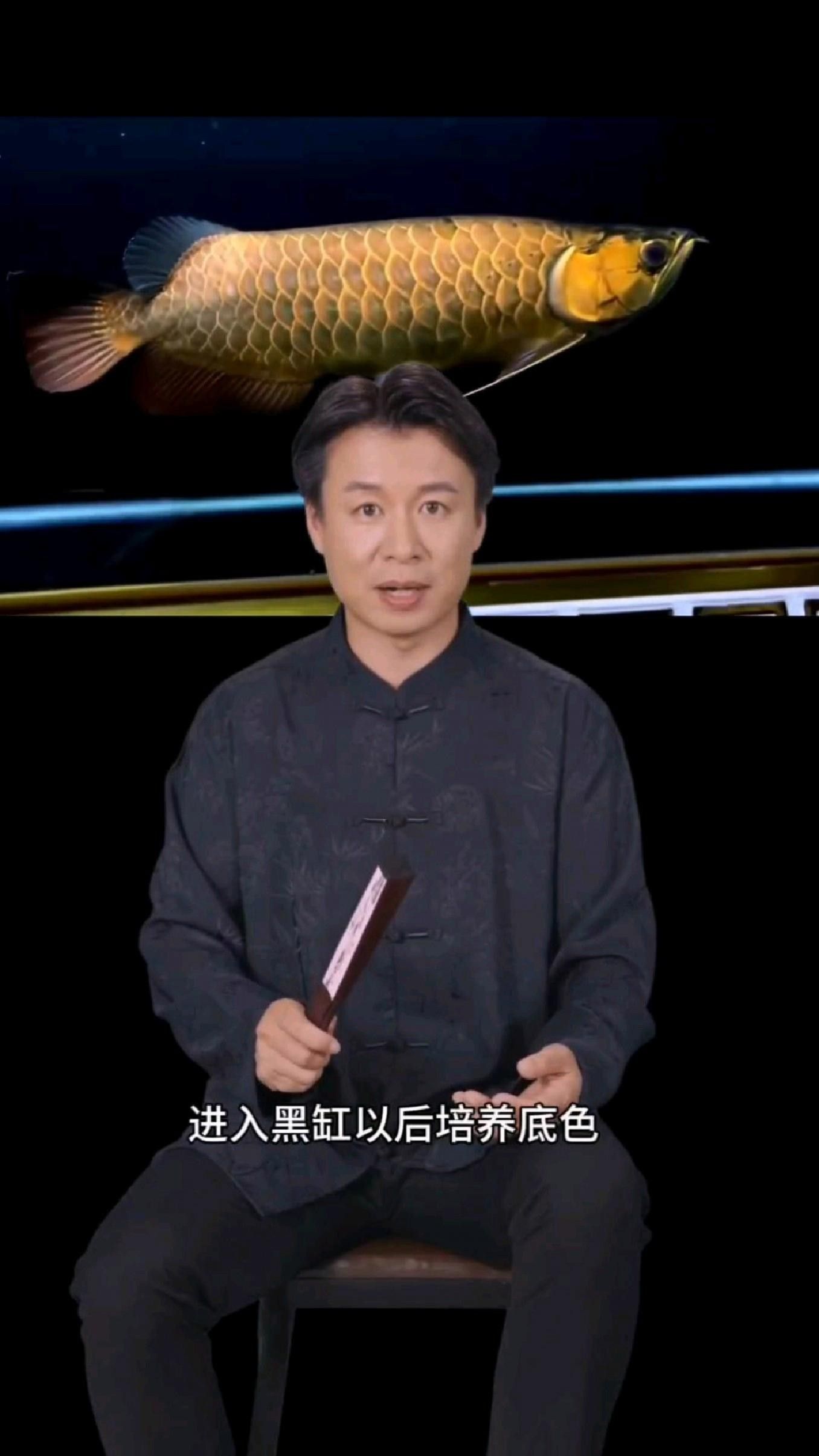 如何判斷古龍魚的血統(tǒng)純度？