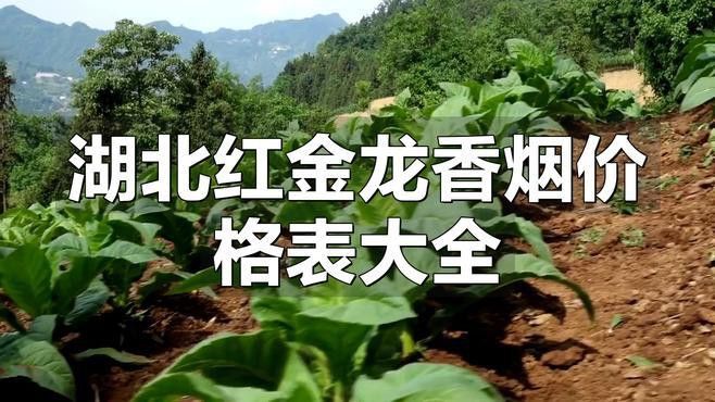 紅金龍香煙有哪些系列新品