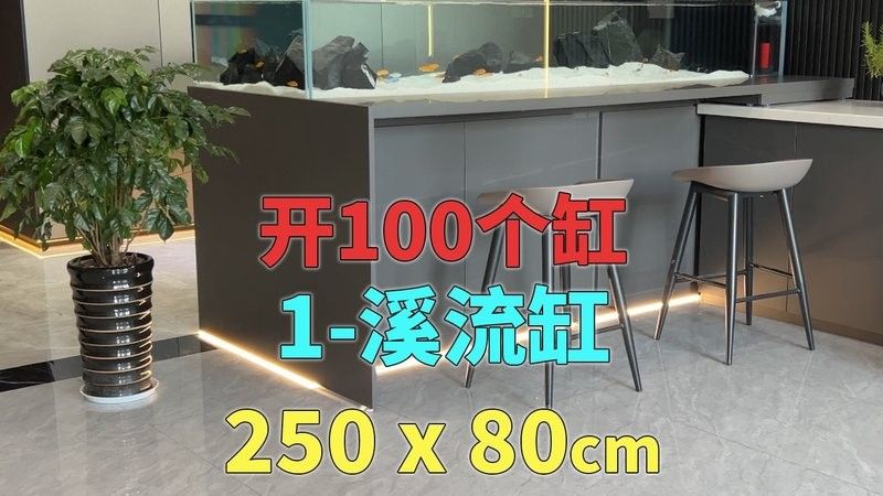 龍魚閣魚缸是品牌嗎知乎