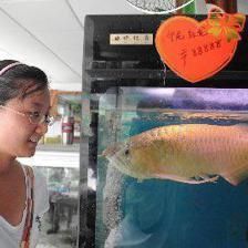 龍魚麻醉劑哪里買：龍魚麻醉劑品牌推薦,淘寶購買麻醉劑注意事項