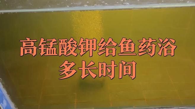 紅龍魚泡藥后有哪些后遺癥