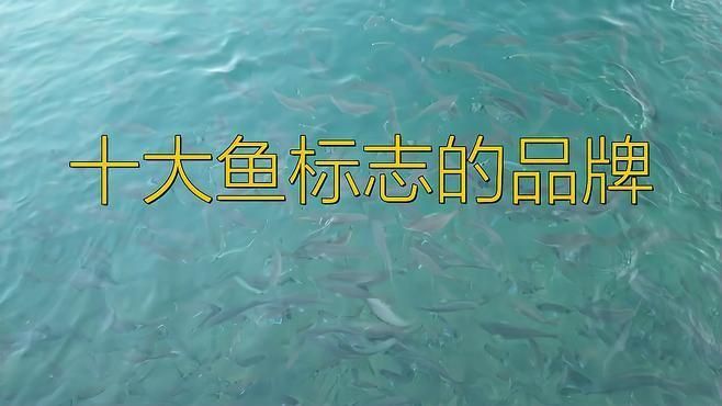 十大魚標志的品牌