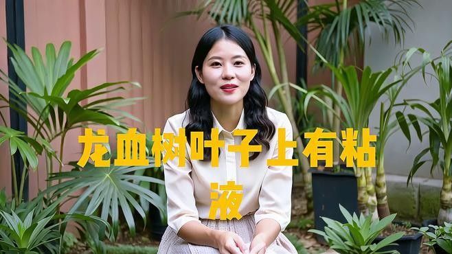 龍血樹汁液有哪些藥用價值？