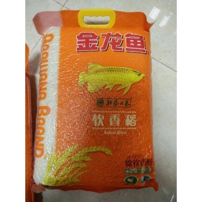 哈爾濱金龍魚代理電話是多少：哈爾濱金龍魚代理商
