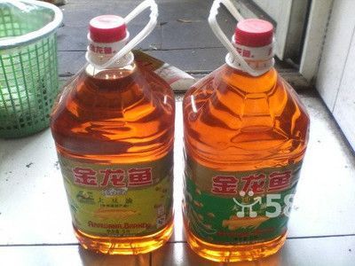 哈爾濱金龍魚代理電話是多少：哈爾濱金龍魚代理商