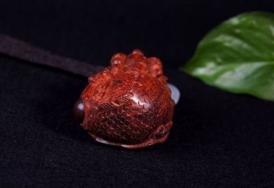 龍魚產子吐珠繁衍：關于龍魚繁衍的詳細解釋
