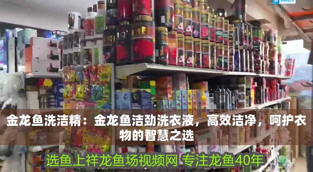 金龍魚洗潔精：金龍魚潔勁洗衣液，高效潔凈，呵護衣物的智慧之選